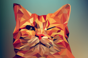 Монета Grumpy Cat meme собрала $ 70 тысяч для приютов для животных