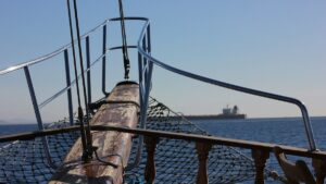 Испанская фирма, специализирующаяся на морепродуктах, сотрудничает с IBM в отслеживании цепочки поставок